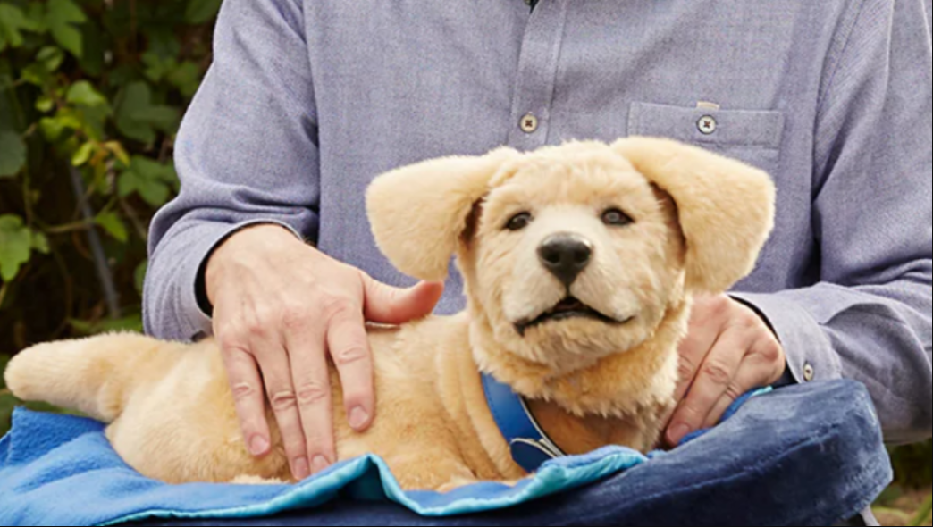 Like A Real Dog? The Most Realistic AI Pet Robot: Tombot Puppies