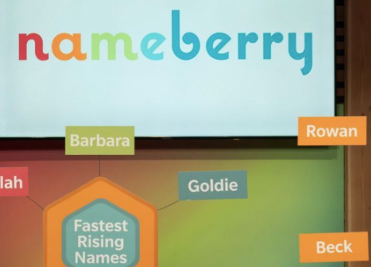 Nameberry AI logo.png