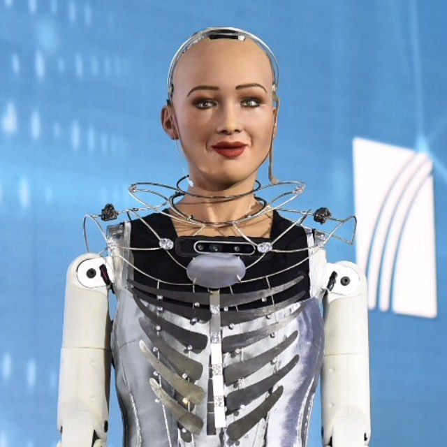 Will the Artificial Intelligence Robot Sophia Be Rebooted?