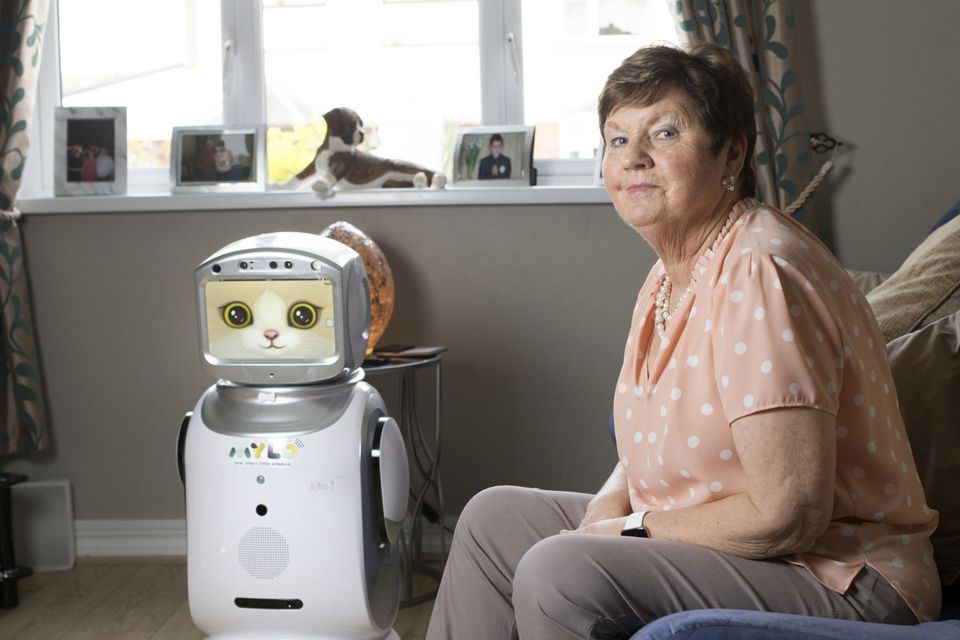 My Robot at Home: Integrating AI into Everyday Life 