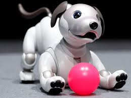 Aibo Robot.jpg