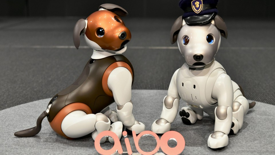 the Cost of Family of Robots: Your Ultimate Budget Guide to AIBO, Robot Babies, and More