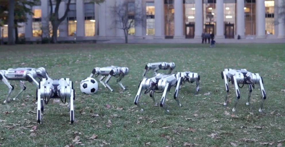 Engineering the Future: How to Design a Family of Robots for Maximum Efficiency