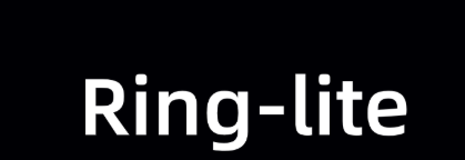 Ant Ring-lite MoE: Breaking Mathematical Boundaries with Minimal Parameters