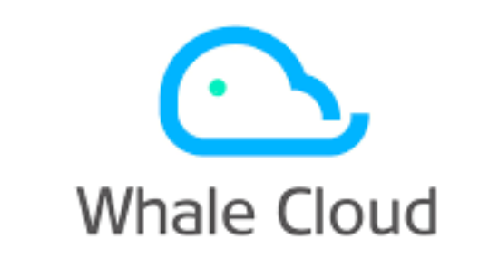 Whale Cloud Jingzhi AI Model Integration: DeepSeek-V3 Performance Optimization Success