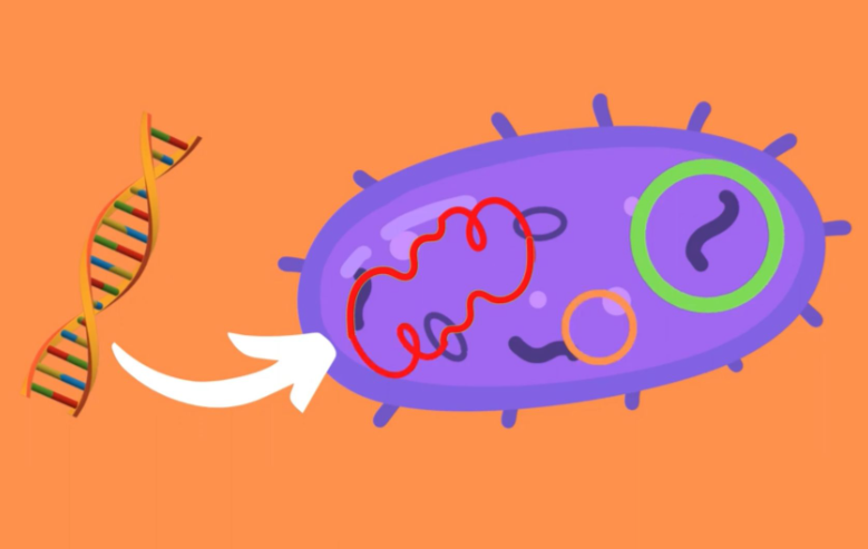 Karpathy's Bacterial Programming: Transforming AI Software Design for Maximum Efficiency