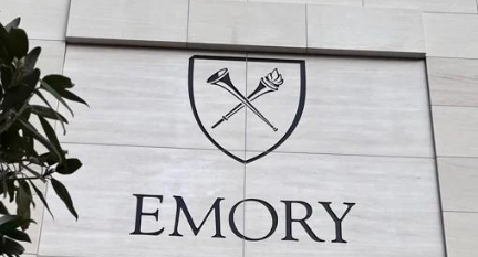The image shows the Emory University logo engraved on a light-coloured stone wall. The emblem features two crossed torches within a shield above the word 'EMORY' in bold, uppercase letters. Some green leaves from a nearby plant are visible on the left side of the image.