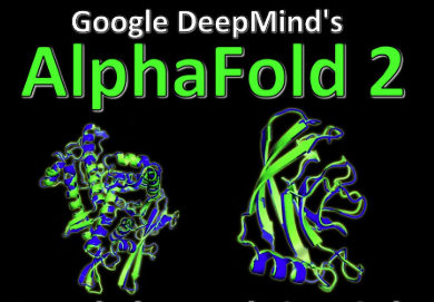 How DeepMind's AlphaFold Transforms Scientific Discovery