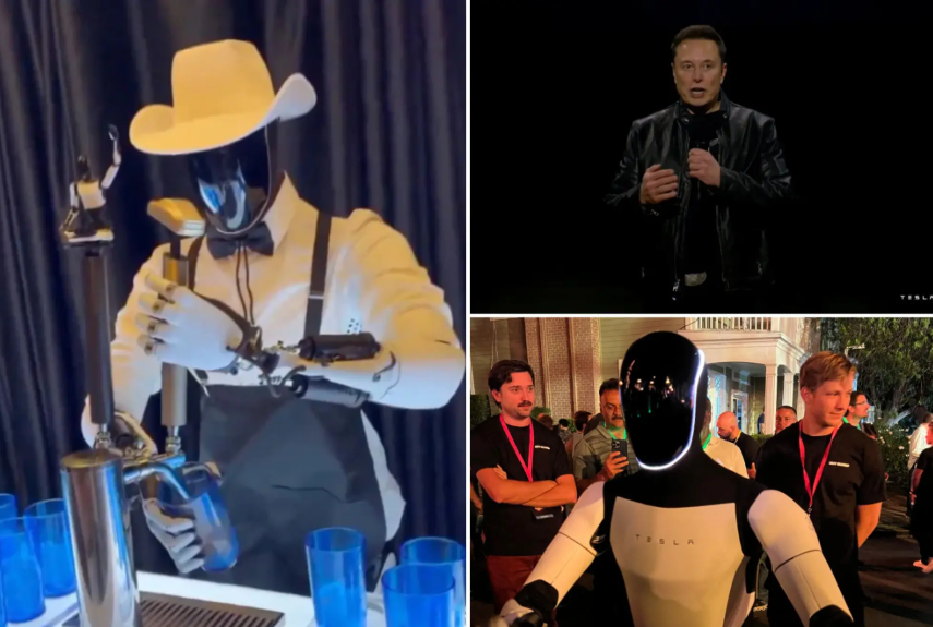 Elon Musk's Home Robots: Your Future AI Housekeeper Revealed
