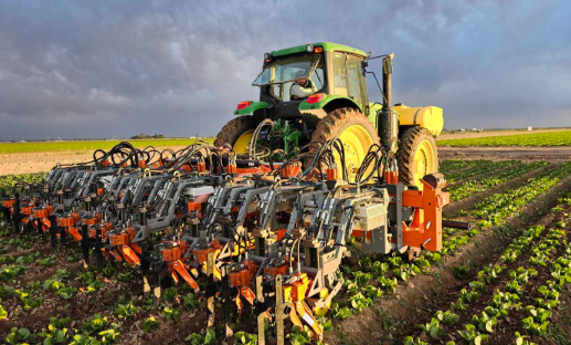 FarmWise AI Tools Transform Vegetable Farming Through Precision Robotic Weed Control