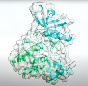 Recursion AI Tools Transform Drug Discovery Through Automated Biology