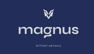 How Magnus AI Tools Transform Artwork Identification