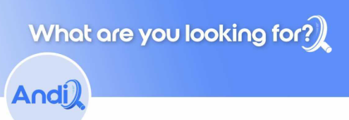 Andi: Redefining Search with Conversational AI and Factual Precision