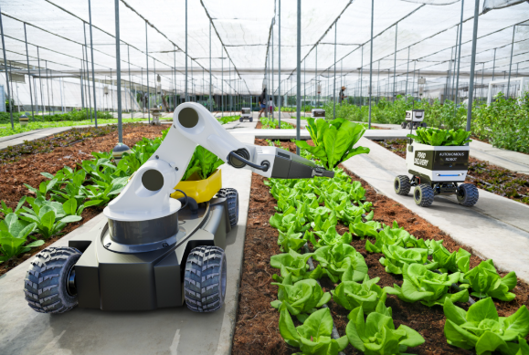 Agricultural Robotics Jobs: The 6-Figure Farm Tech Careers Nobody Tells You About