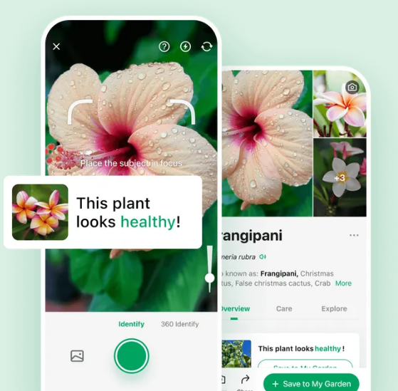 PictureThis AI Tools: Advanced Plant Identification Platform 
