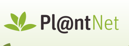 PlantNet AI Tools: Revolutionary Plant Identification Research Platform