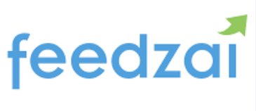 Feedzai: Advanced AI Tools for Real-Time Financial Risk Management