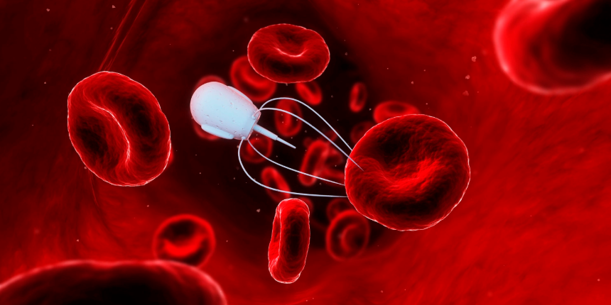 5 Revolutionary Breakthroughs Where Nanorobots in Medicine Change Healthcare Forever