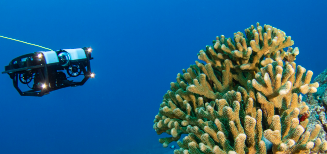 The Deep Dive: Unraveling What Marine Robot Is & Why It Matter
