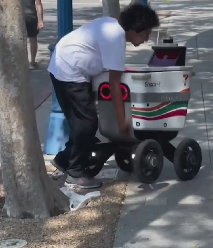 Curbing the Carnage: Why Are Delivery Robots Under Attack?