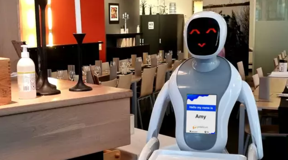 My Service Robot: The Ultimate Guide to Your AI-Powered Domestic Partner
